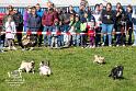 D_Foto Laudi_SO_Fruehlingsfest_Zeitlarn-202